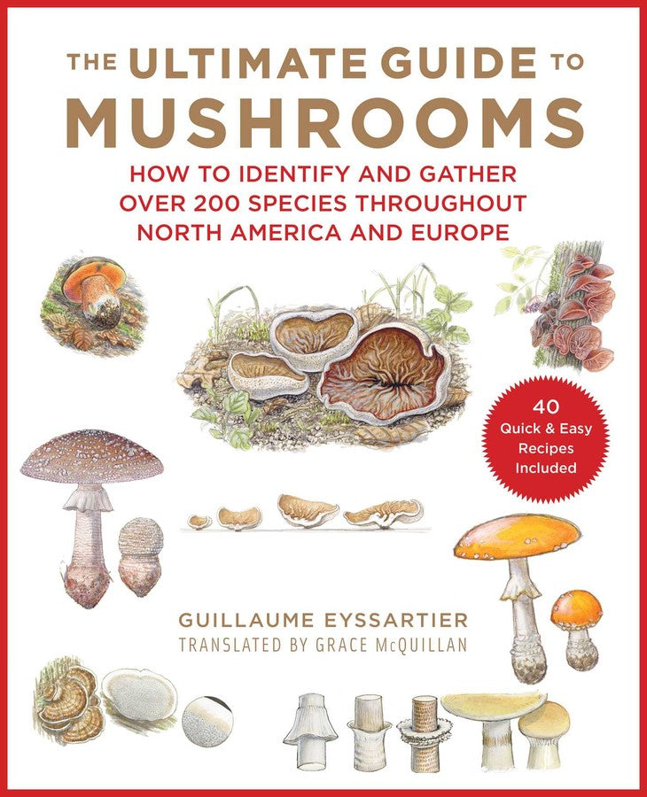 Ultimate Guide To Mushrooms – Sbnature Store