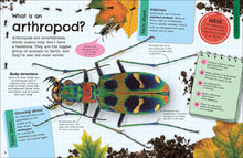 Load image into Gallery viewer, Fact-Packed Activity Book: Insects and Other Tiny Creatures
