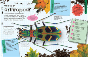 Fact-Packed Activity Book: Insects and Other Tiny Creatures