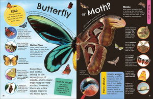 Fact-Packed Activity Book: Insects and Other Tiny Creatures