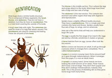 Load image into Gallery viewer, Kid&#39;s Guide to Backyard Bugs
