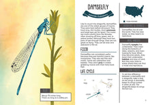 Load image into Gallery viewer, Kid&#39;s Guide to Backyard Bugs
