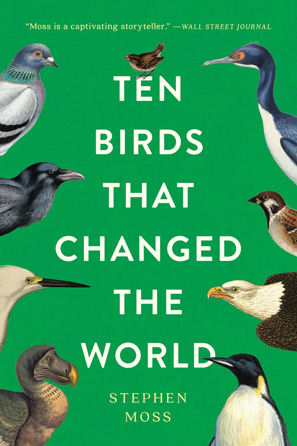 Ten Bird That Changed The World