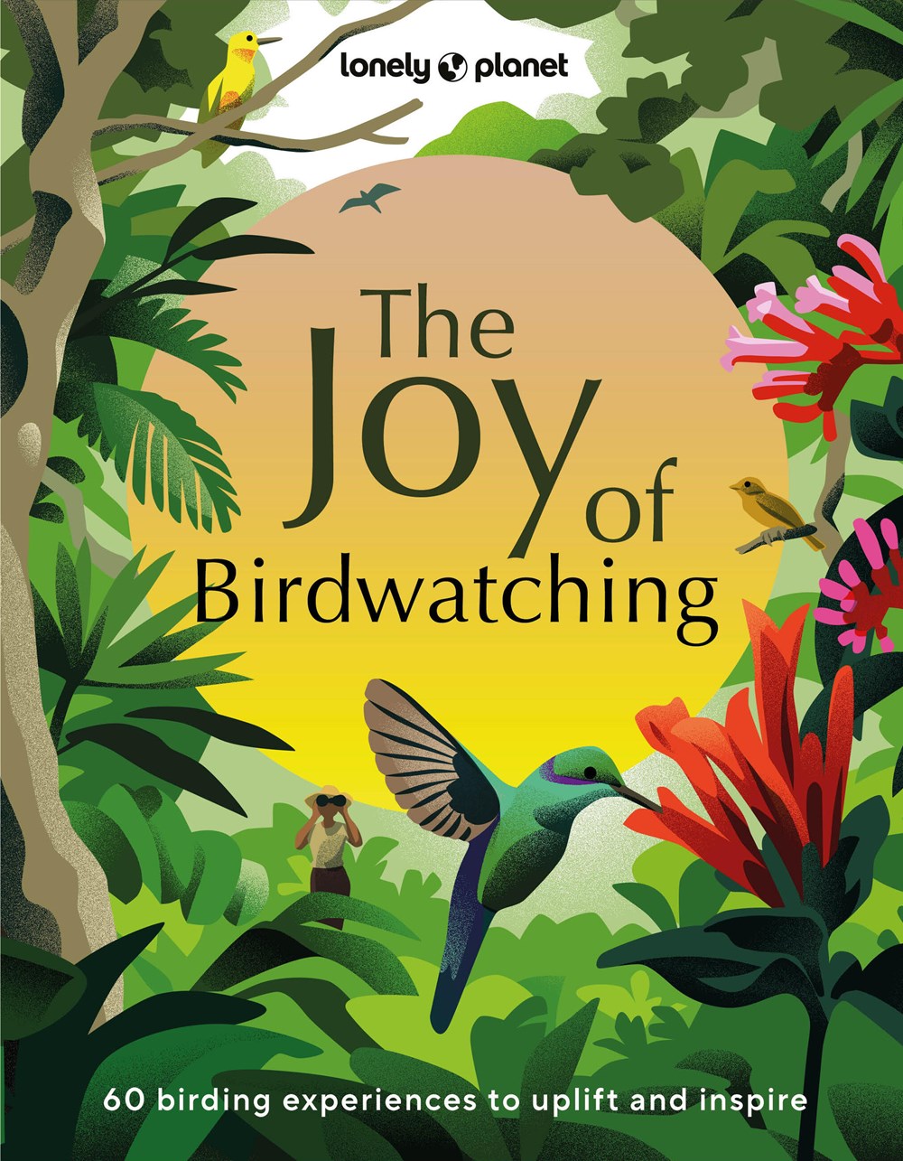 Lonely Planet Kids: The Joy Of Birdwatching