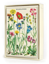 Load image into Gallery viewer, Wildflowers Boxed Note Cards
