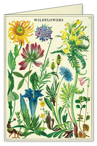 Wildflowers Boxed Note Cards