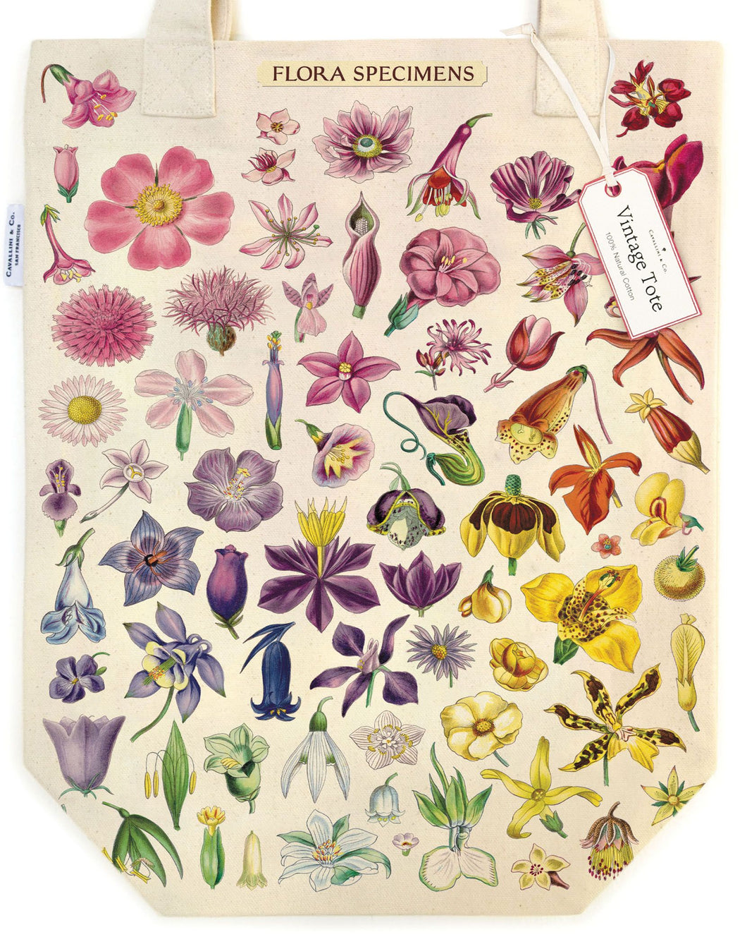 Flora Specimens Tote Bag