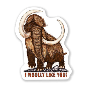 Wooly Like You Sticker