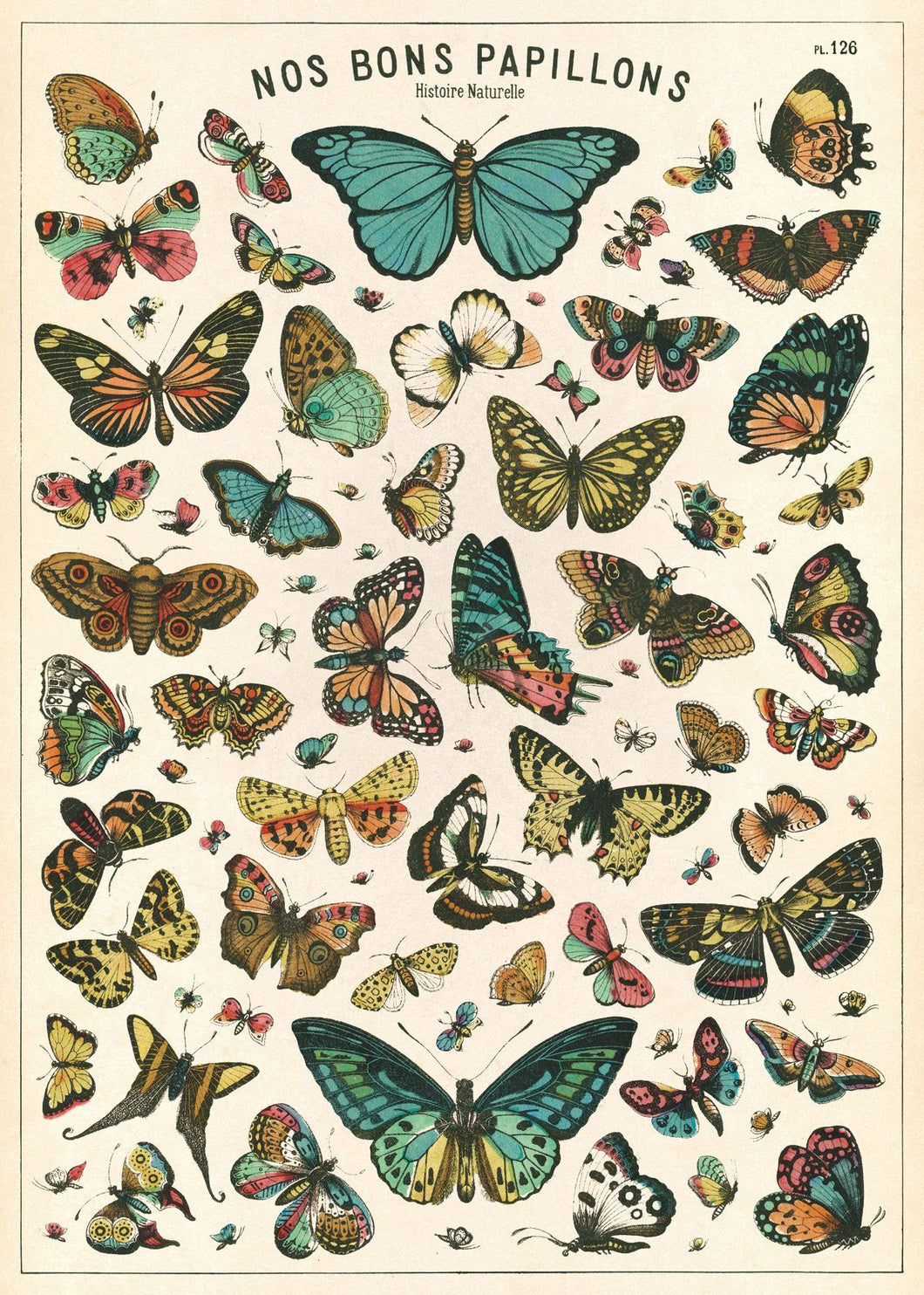 Butterfly Chart 